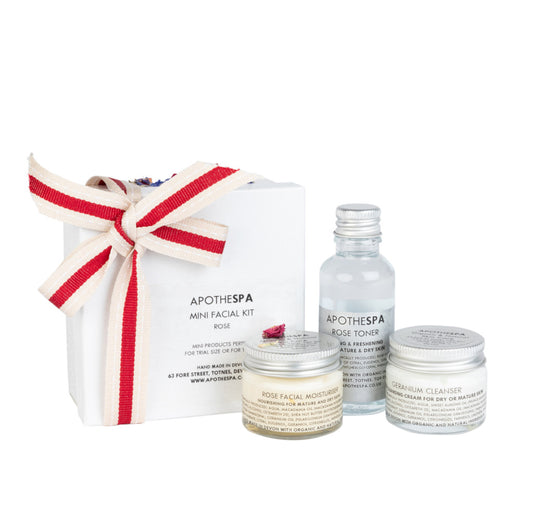 Rose & Geranium Mini Facial Kit